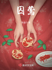 ǿĩȫĶ
